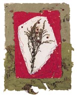 Petals of Hope
